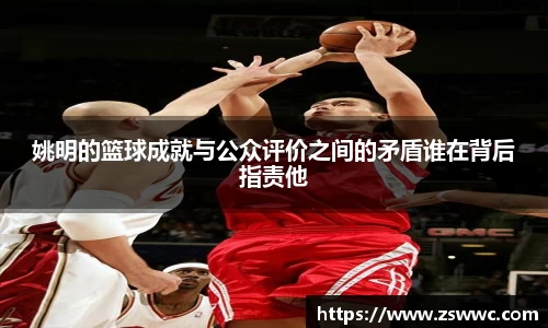 姚明的篮球成就与公众评价之间的矛盾谁在背后指责他
