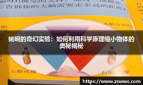 姚明的奇幻实验：如何利用科学原理缩小物体的奥秘揭秘